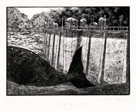 haller_2009_nochda_einl_kl